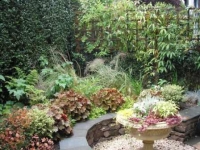 Town garden in Kendal