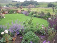 Bringing to life a new garden.