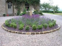 Renovation of a rectory garden